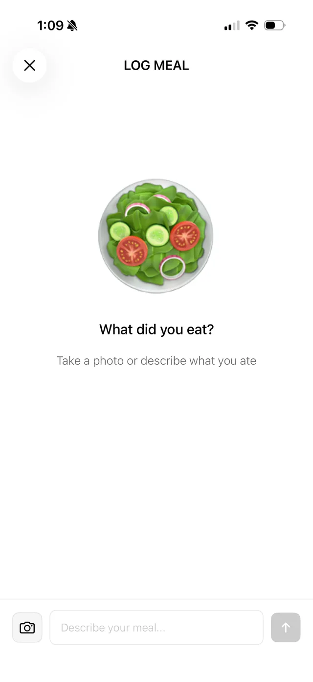 ROID free calorie tracker meal logging screen — photograph or describe your food to log it